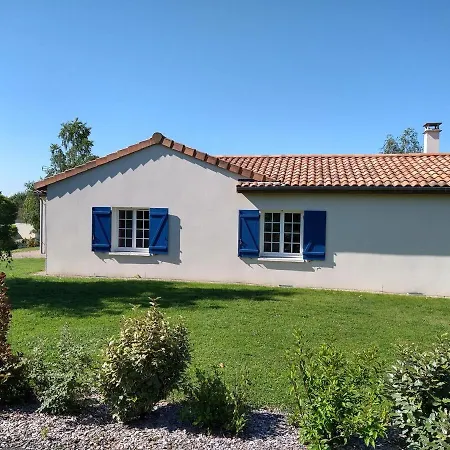Vieille Vigne 5